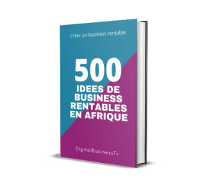 Ebook, 500 idées de business rentables en Afrique